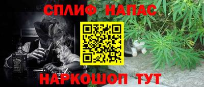 стаф Краснодар
