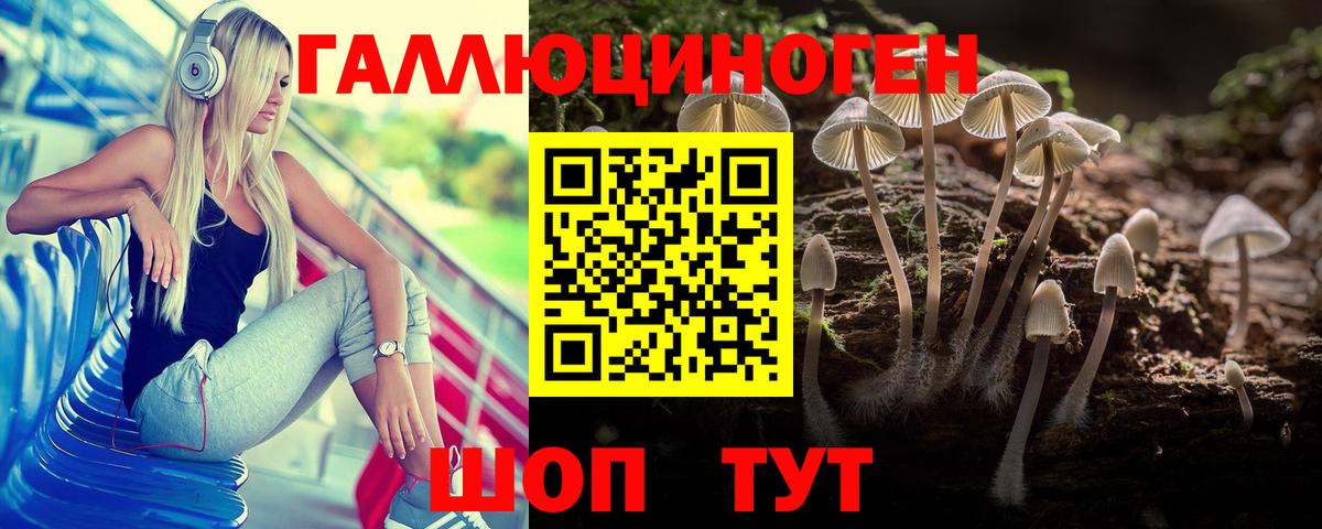 Псилоцибиновые грибы прущие грибы  Вход с VPN  Карталы 