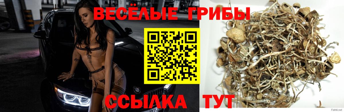 Марихуана  Карталы  Кокаин  Гашиш  Меф МЯУ МЯУ   Вход с VPN  Лсд 25 
